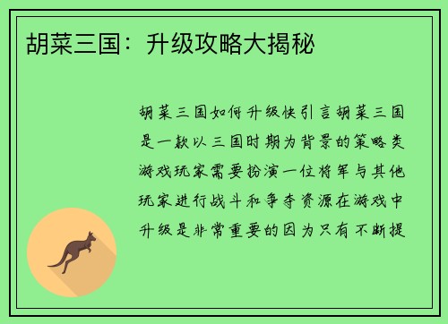 胡菜三国：升级攻略大揭秘